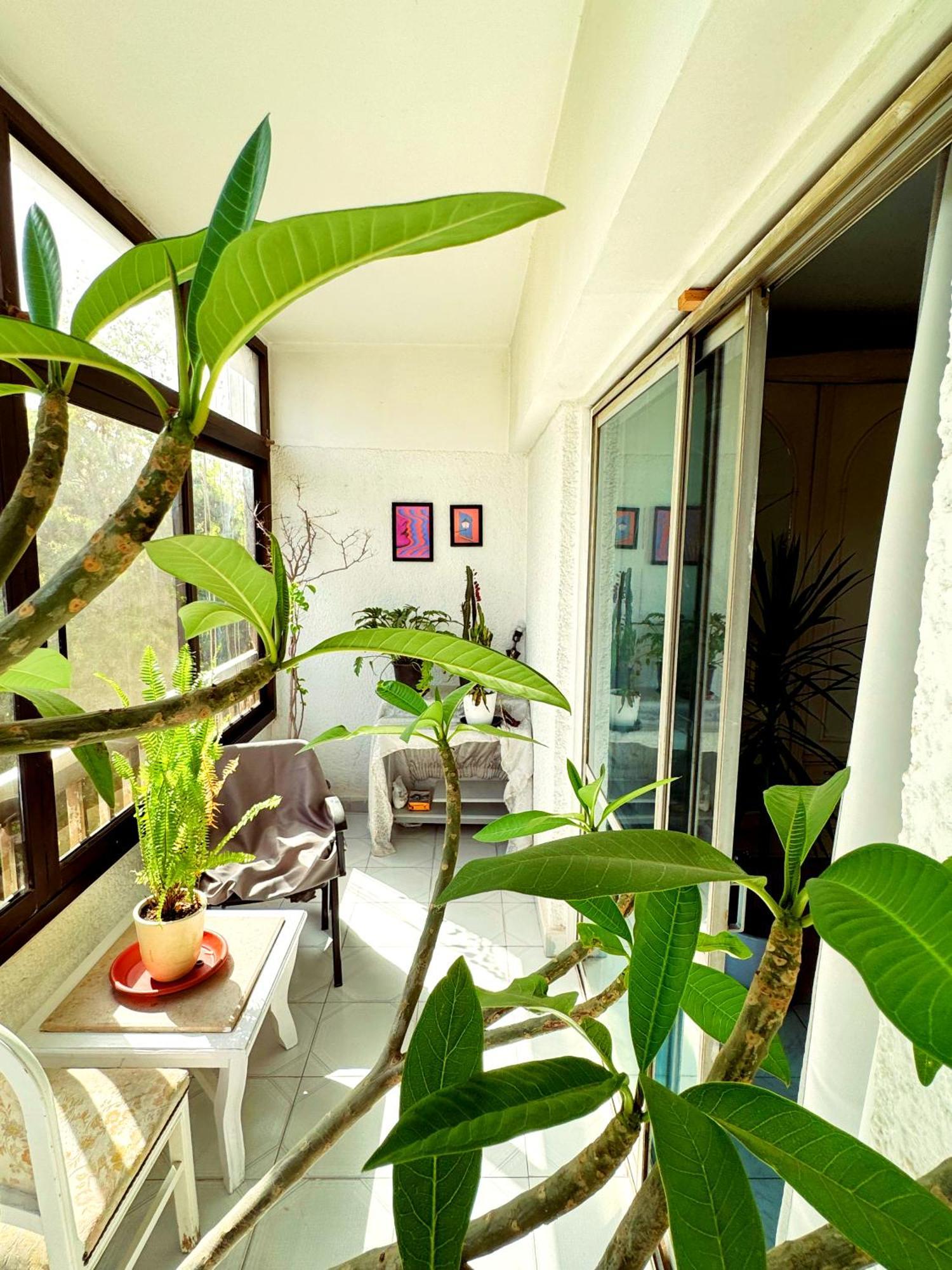 Large Room With Its Own Balcony Каир Экстерьер фото