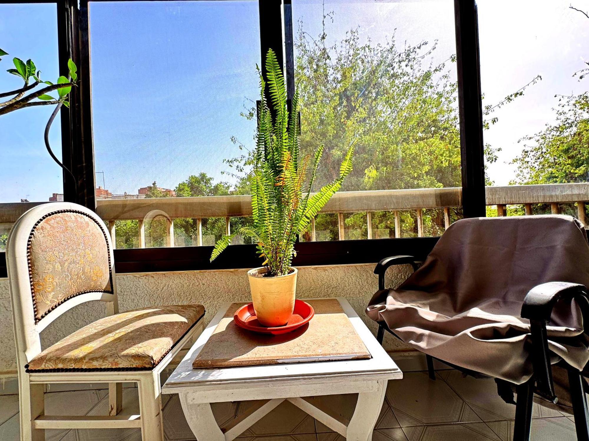 Large Room With Its Own Balcony Каир Экстерьер фото